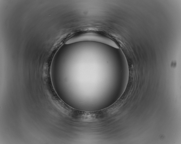 X0000090920760200707301533