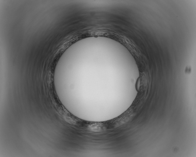 X0000090920761200707301533