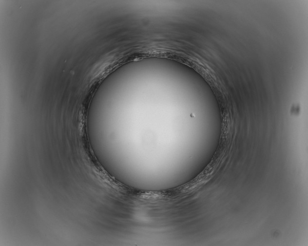 X0000090920762200707301533