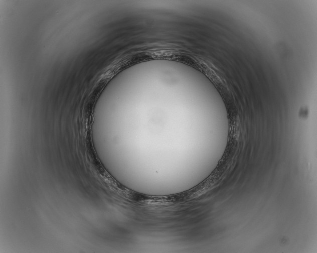 X0000090920763200707301533