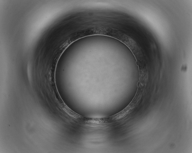 X0000090920765200707301533