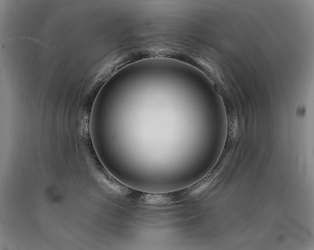 X0000090920766200707301533