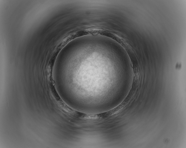 X0000090920767200707301533