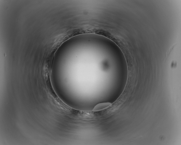 X0000090920768200707301533