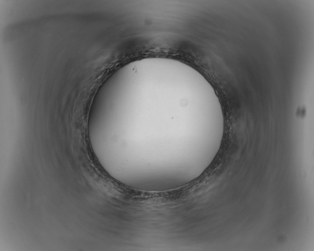 X0000090920769200707301532