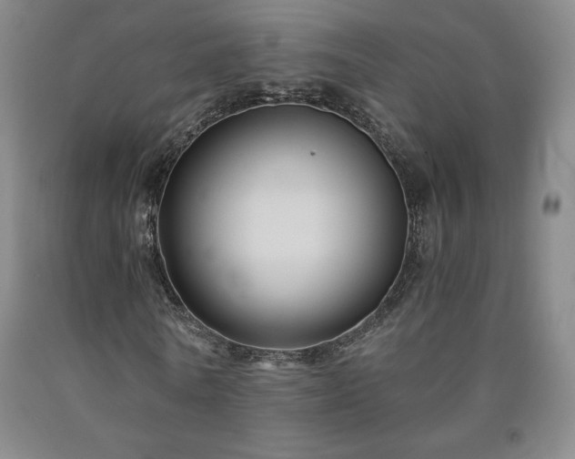 X0000090920770200707301532