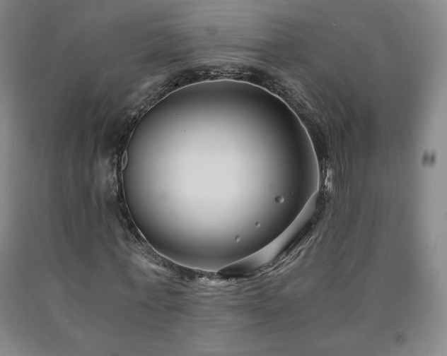 X0000090920771200707301532