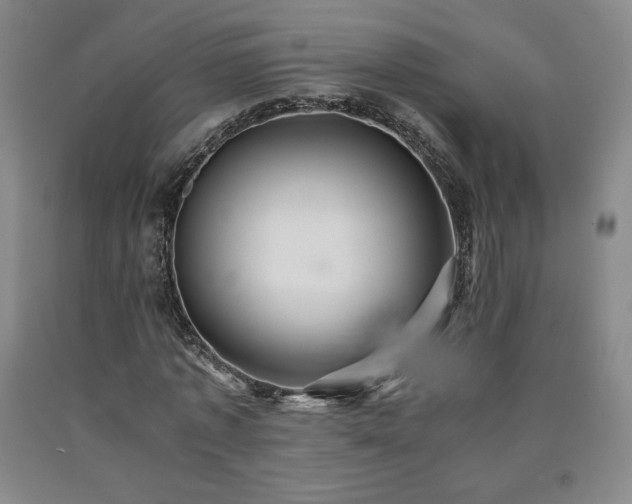 X0000090920773200707301532