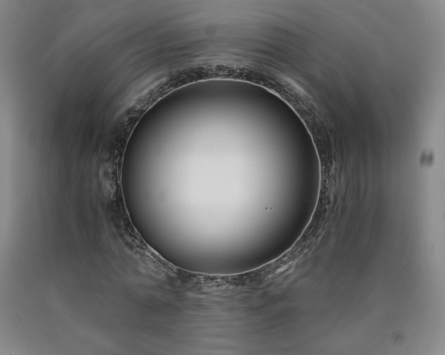 X0000090920774200707301532