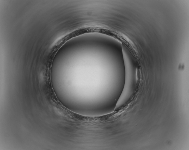X0000090920775200707301532