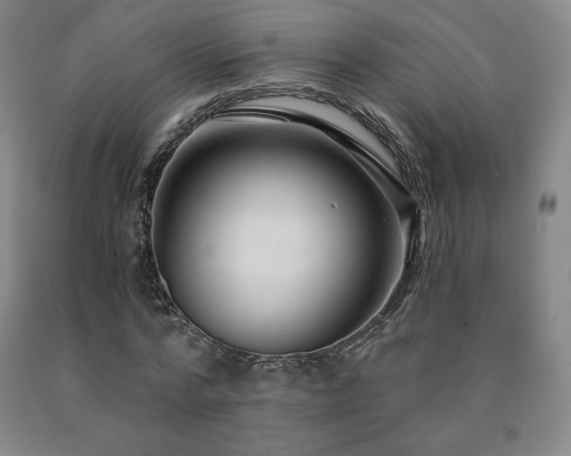X0000090920776200707301532