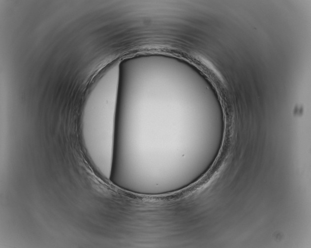 X0000090920777200707301532