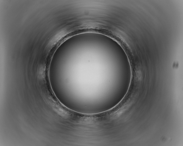 X0000090920778200707301532