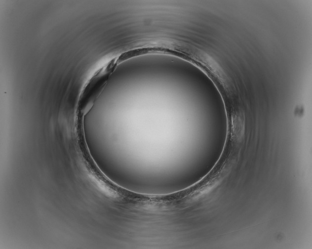 X0000090920780200707301532