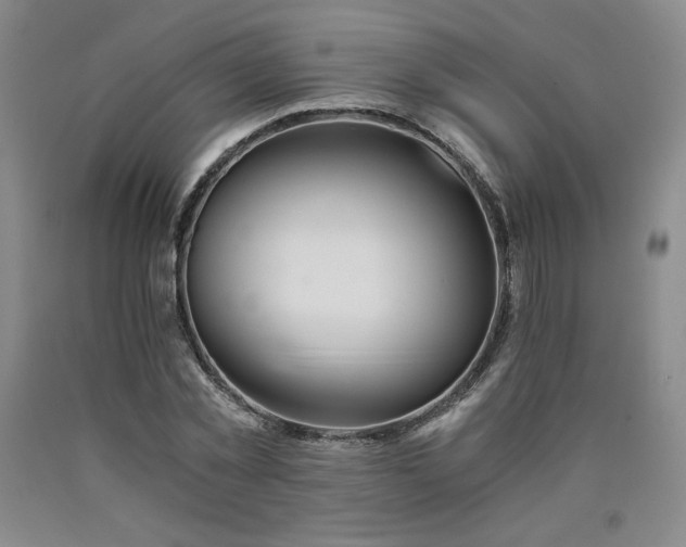 X0000090920781200707301532