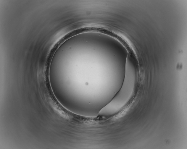 X0000090920783200707301532