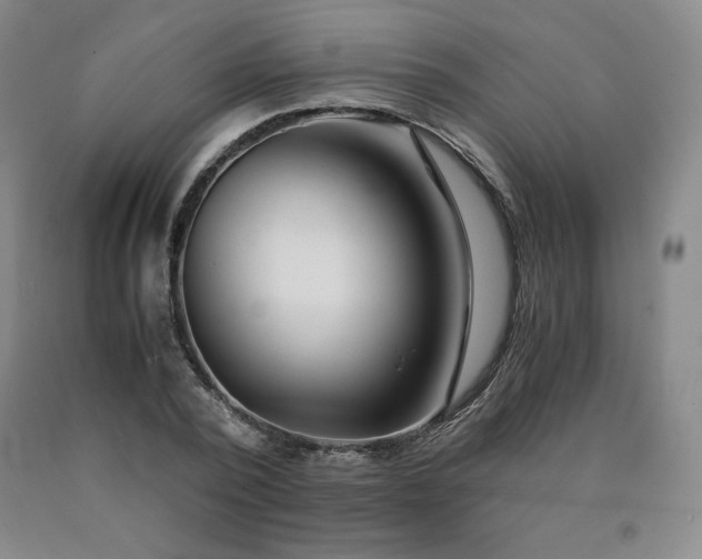 X0000090920784200707301532