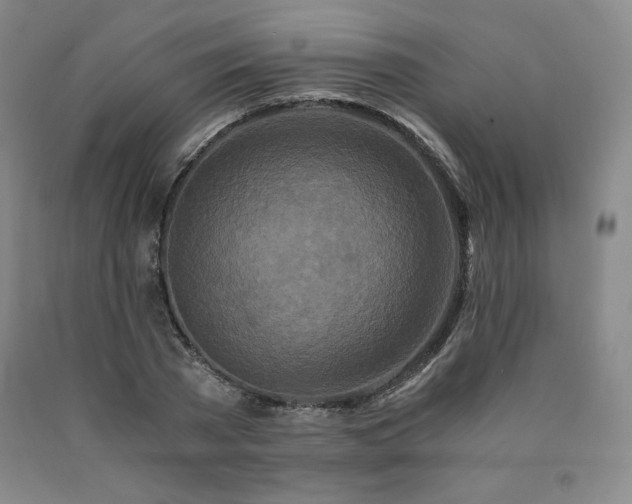 X0000090920785200707301532