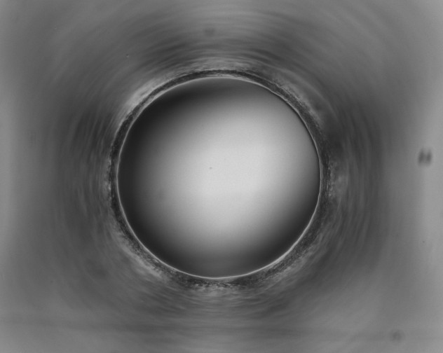 X0000090920786200707301532
