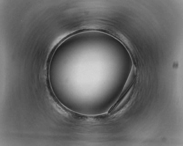 X0000090920787200707301532
