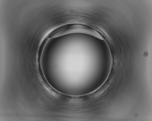 X0000090920788200707301532