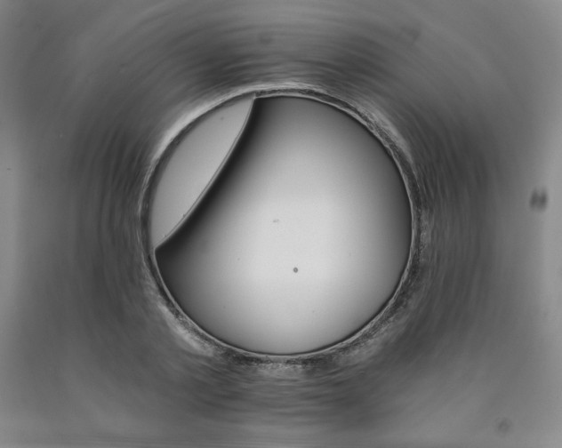 X0000090920789200707301532