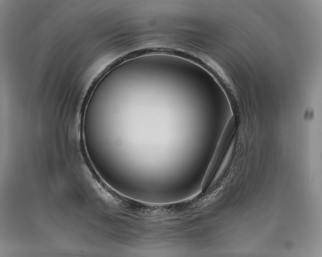 X0000090920791200707301532