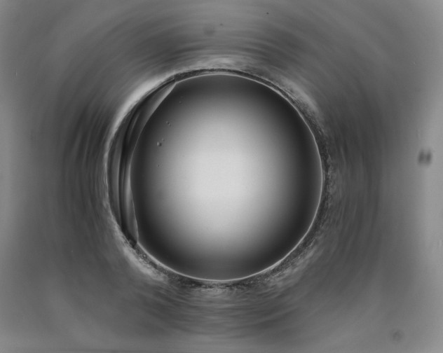 X0000090920792200707301532
