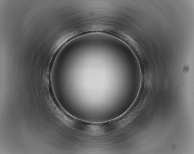 X0000090920794200707301532