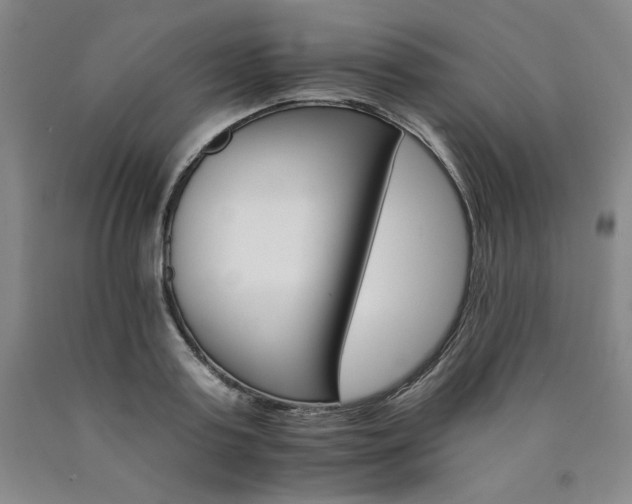 X0000090920795200707301532