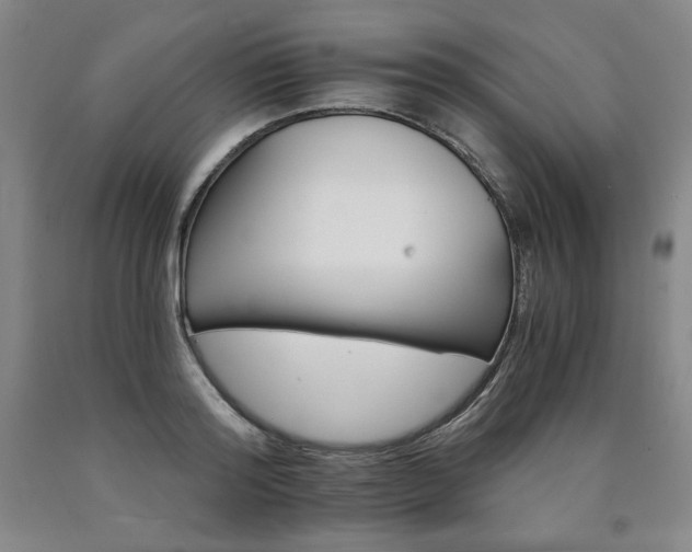 X0000090920796200707301532