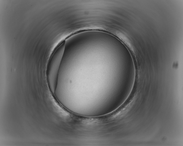 X0000090920797200707301532