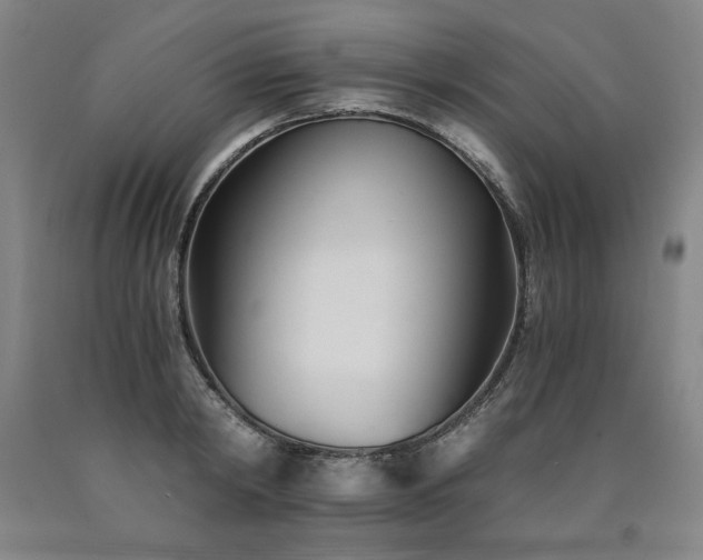 X0000090920798200707301532