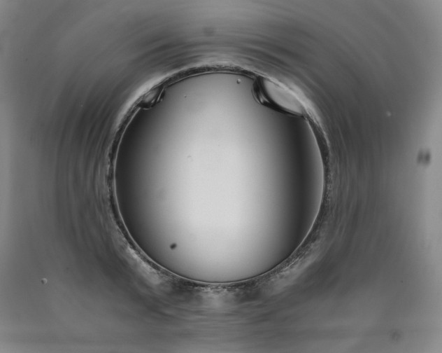 X0000090920799200707301532