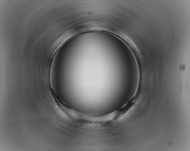 X0000090920801200707301532