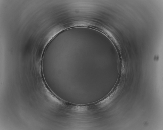 X0000090920802200707301532