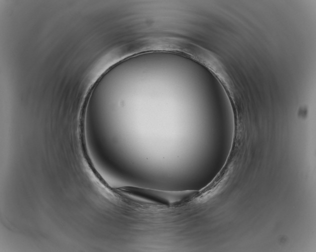 X0000090920803200707301532
