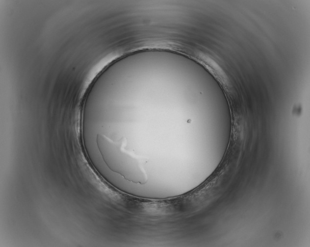 X0000090920804200707301532