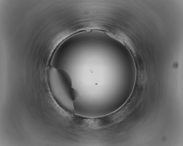 X0000090920805200707301532