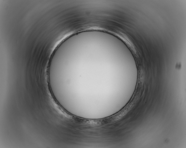 X0000090920806200707301532