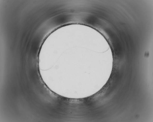 X0000090920807200707301532