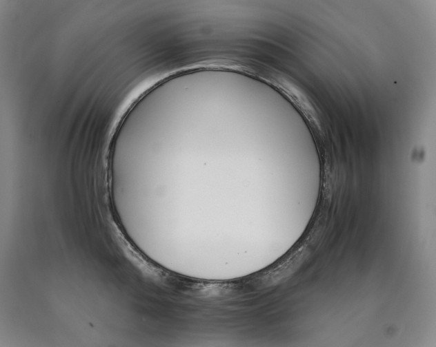 X0000090920808200707301532
