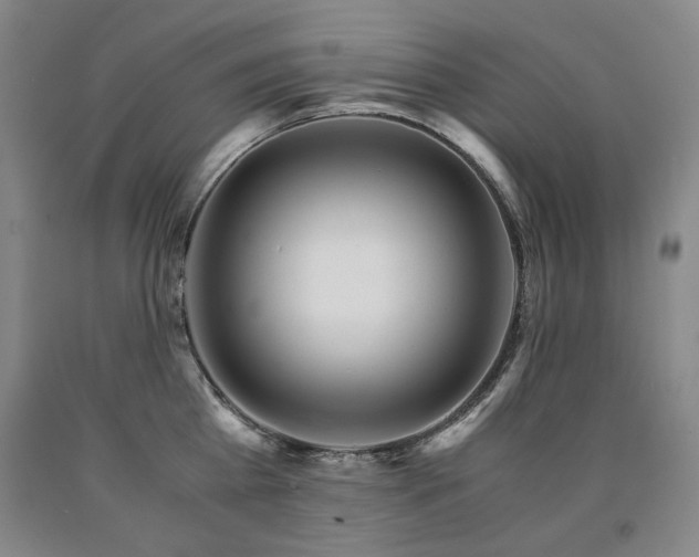 X0000090920809200707301532