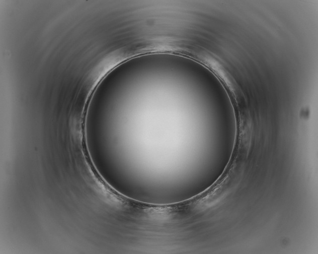 X0000090920810200707301532