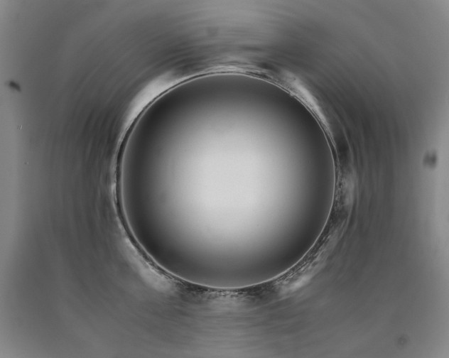 X0000090920811200707301532