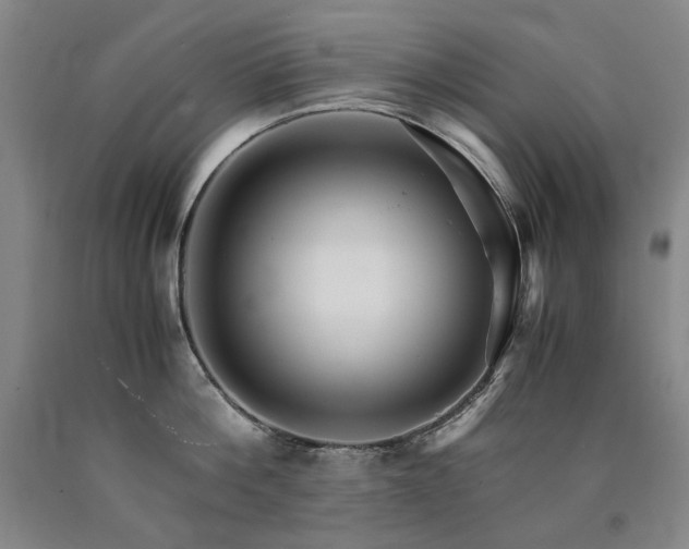 X0000090920812200707301532