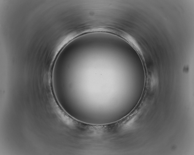 X0000090920813200707301532