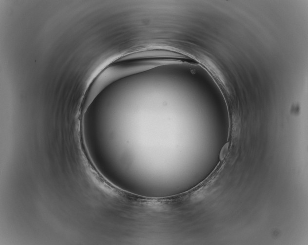 X0000090920814200707301532