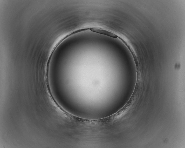 X0000090920815200707301531