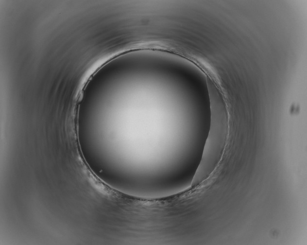 X0000090920816200707301531
